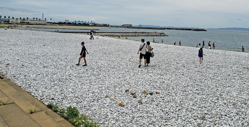 200727_park1.jpg