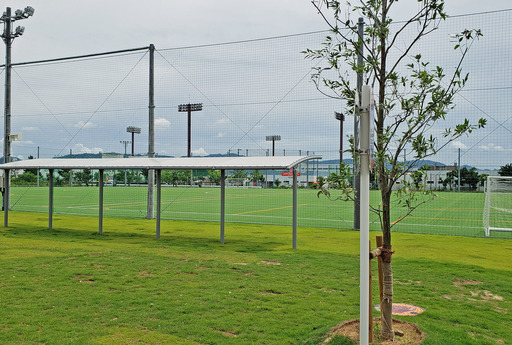 200727_park6.jpg