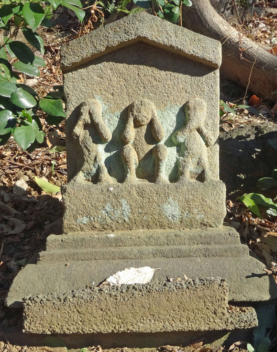 170213_saru.jpg