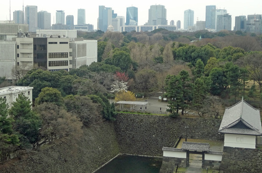 170323_koukyo.jpg