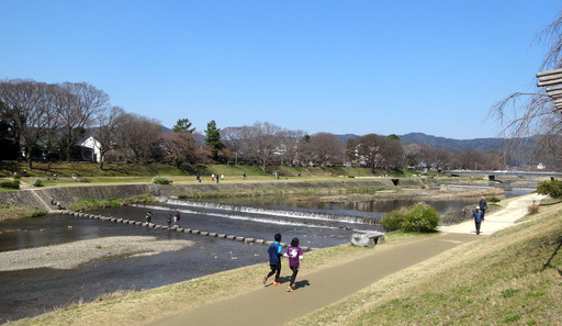 170402_kamogawa1.jpg