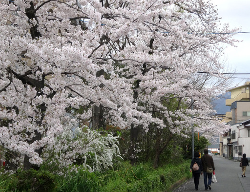 170410_sosui1.jpg