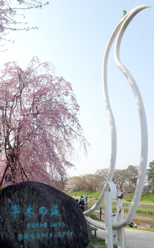 170415_nakaragi.jpg