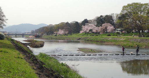 170415_tobiishi.jpg