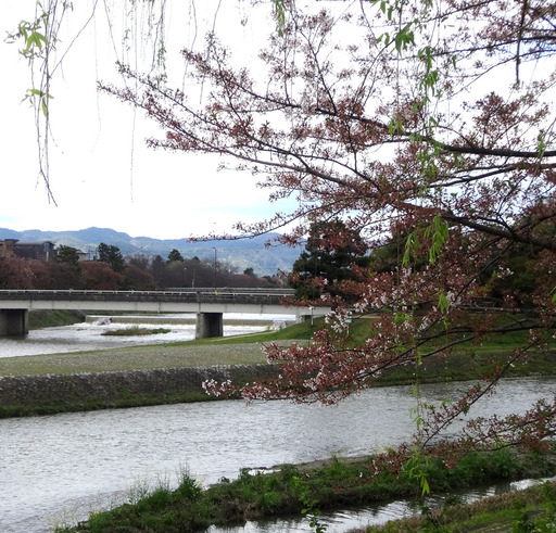 170418_demachi.jpg
