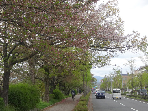 170418_kawabata.jpg
