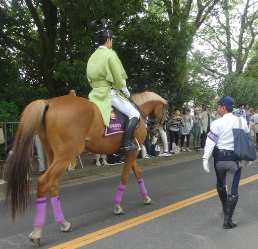 170515_kiba2.jpg