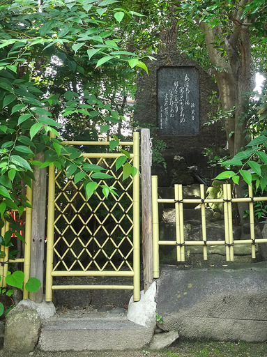 170703_sekimori.jpg