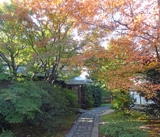 171103_daijiin7.jpg
