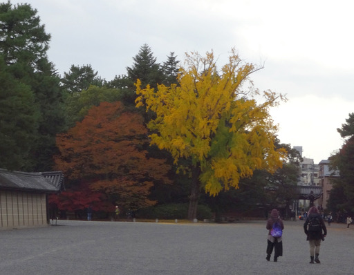 171111_inuigomon.jpg