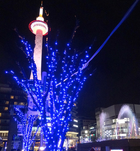 171118_blue.jpg