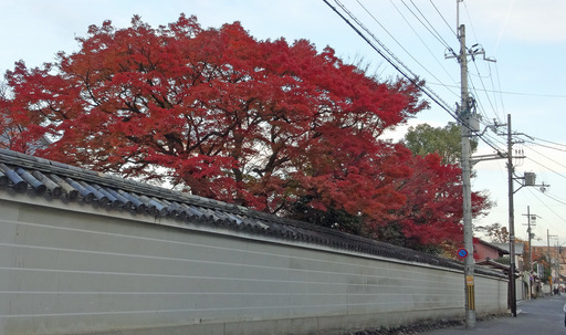 171125_hokyoji.jpg