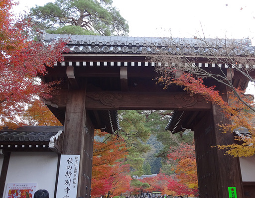 171127_eikando1.jpg