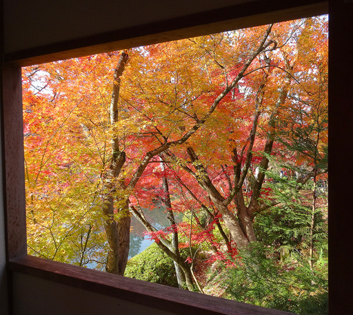 171127_eikando2.jpg