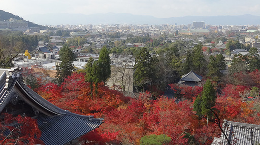 171127_eikando4.jpg