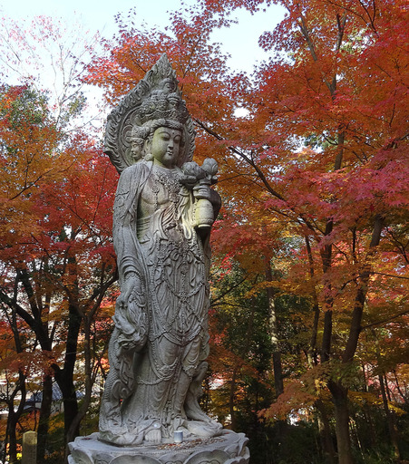 171127_kannon1.jpg