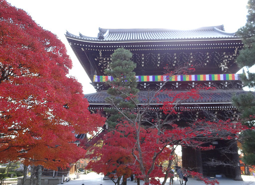 171127_konkai5.jpg