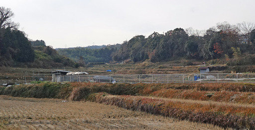 171224_heguri.jpg
