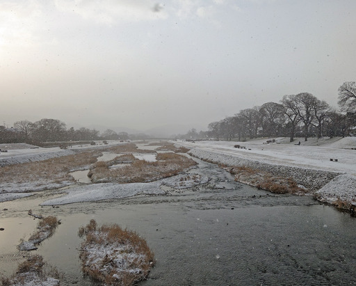 180127_kamo2.jpg