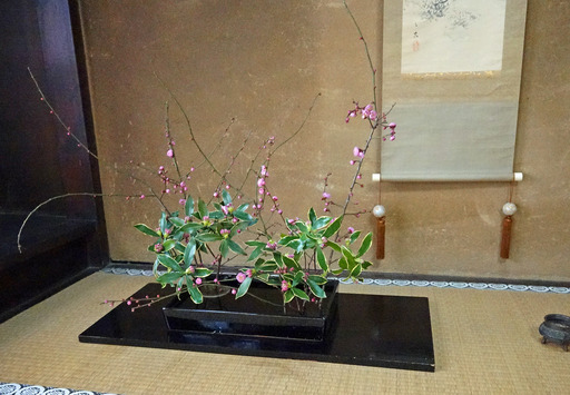 180224_toko.jpg