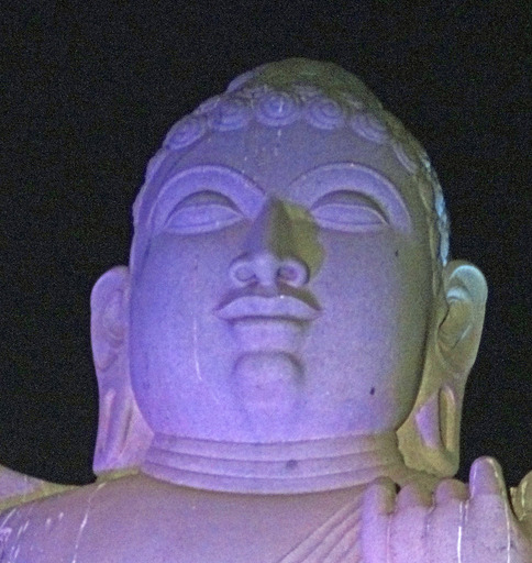 180303_syaka3.jpg