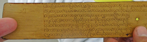 180308_leaf3.jpg