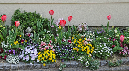 180401_niwa.jpg