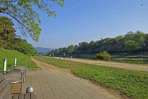 180430_kamogawa1.jpg
