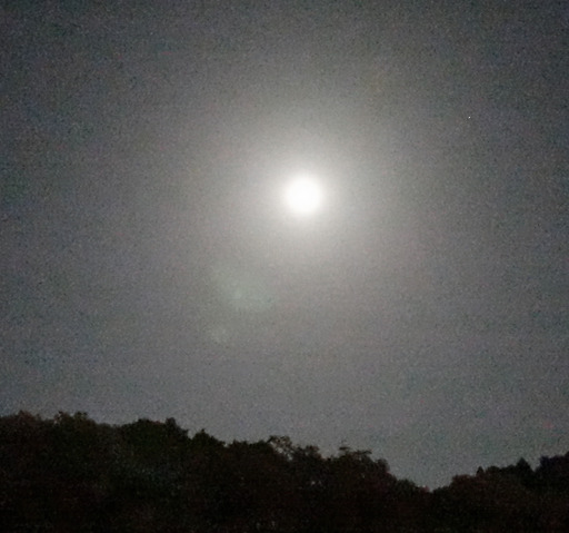 180430_mangetu.jpg