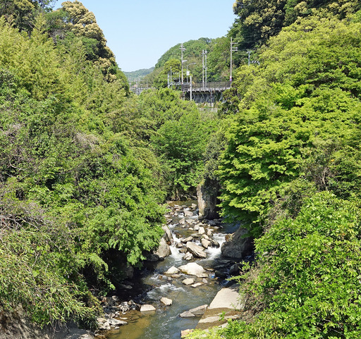 180430_tatuta.jpg