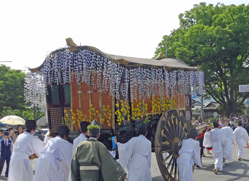 180515_gisyya2.jpg