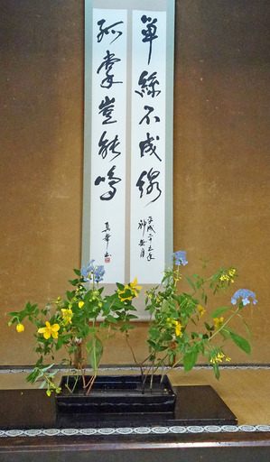 180526_jiku.jpg