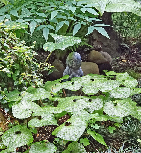 180602_jizo.jpg