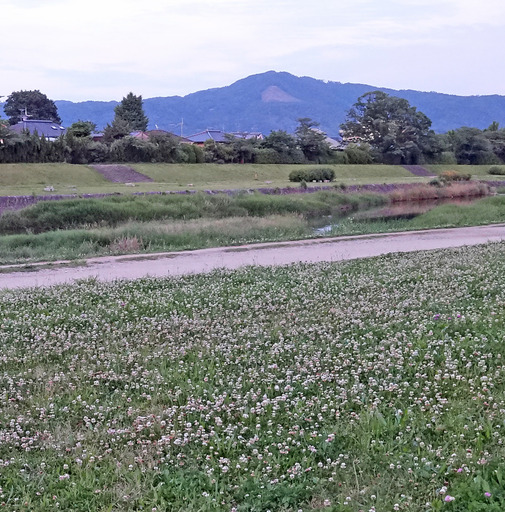 180603_daimonji.jpg