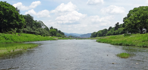 180624_kamogawa1.jpg