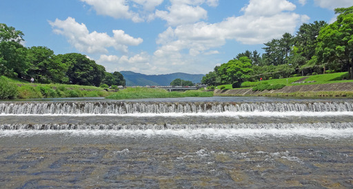180624_kamogawa2.jpg