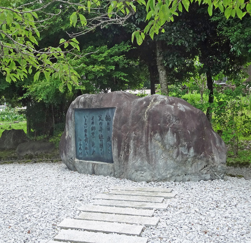 180701_seityou2.jpg
