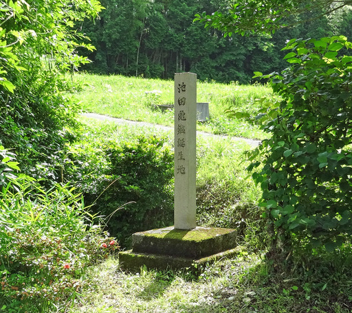 180701_tanjyo.jpg