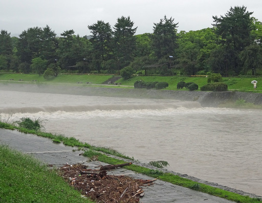 180707_kamogawa.jpg