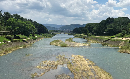 180710_kamo1.jpg