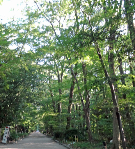 180802_tadasu.jpg