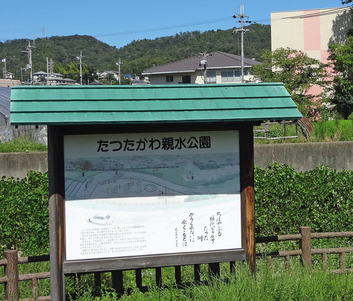 180822_sinsui.jpg