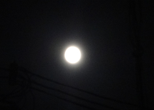 180825_moon.jpg