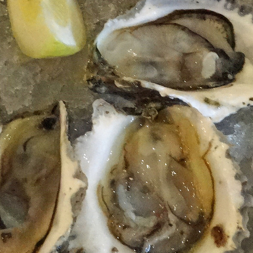 180827_oyster1.jpg
