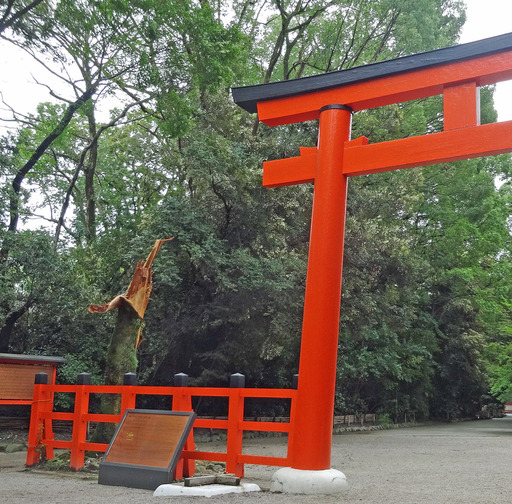 180907_simogamo2.jpg