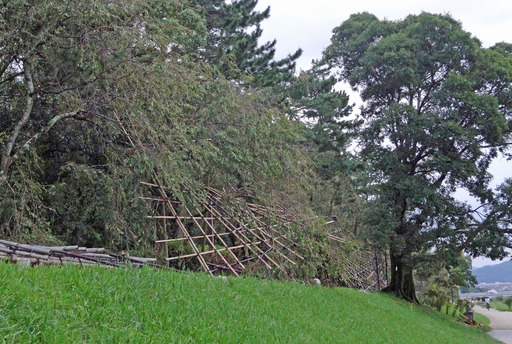 180916_tana8.jpg