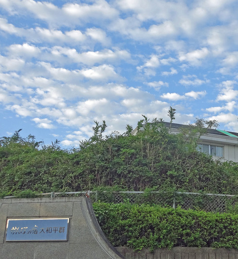 180923_kanpo.jpg