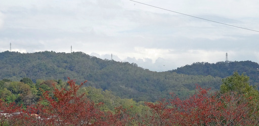 181104_matsuo.jpg