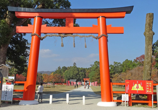 181111_kamigamo1.jpg
