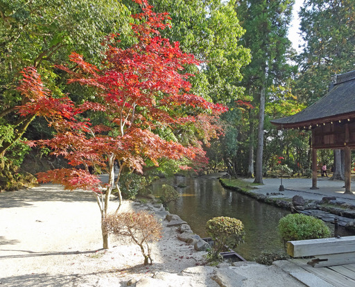 181111_ogawa.jpg